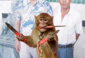 Don't Monkey With Personalized Pocket Knives